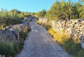 POLJOPRIVREDNO ZEMLJIŠTE NA ODLIČNOJ LOKACIJI – MIRCA, BRAČ, Supetar, Terreno