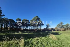 Istra, Tar, građevinsko zemljište s dozvolom, Poreč, Terreno