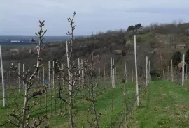 Krcedin vikendica Janda, Inđija, Maison