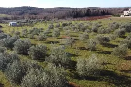 Istra, Poreč- Građevinsko zemljište u užoj okolici Poreča, Poreč, Γη