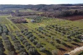 Istra, Poreč- Građevinsko zemljište u užoj okolici Poreča, Poreč, Γη