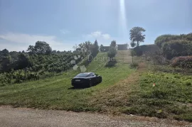 POLJOPRIVREDNO ZEMLJIŠTE U KALINJU, Sveti Ivan Zelina, Land