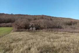 Veliko poljoprivredno zemljište u okolici Kanfanara, Kanfanar, Land