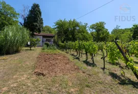 Stambeno poslovna nekretnina - Popovac/Baranja, Popovac, Haus