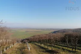 Stambeno poslovna nekretnina - Popovac/Baranja, Popovac, Haus