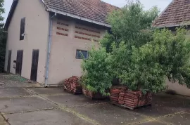 Stambeno-poslovna nekretnina - Borovo, Borovo, Haus