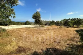 GRAĐEVINSKO ZEMLJIŠTE SA POGLEDOM NA MORE, Marčana, Terra