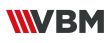 VBM GLOBAL