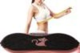 ფიტნეს ვიბრო მასაჟორი