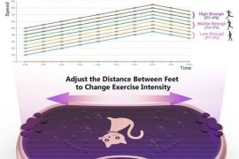 ფიტნეს ვიბრო მასაჟორი