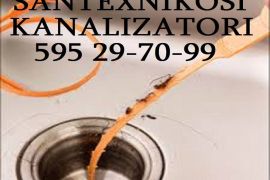 SAMZAREULOS MILIS GAWMENDA GAMODZAXEBIT 595297099