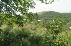 For Sale, Real Estate, Lands