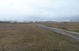 For Sale, Real Estate, Lands