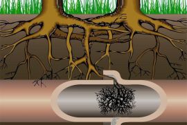 Kanalizaciis gawmenda wnevit 599418342