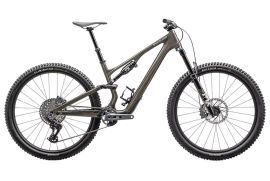 2025 Specialized Stumpjumper 15 Expert Mountain 