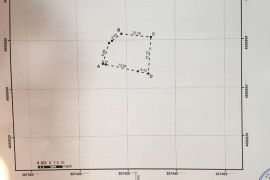 საკადასტრო და შიდა აზომვითი ნახაზები ცაგერში