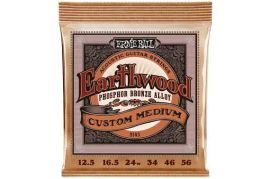 Ernie Ball 2143 Earthwood Custom Medium აკუსტიკური