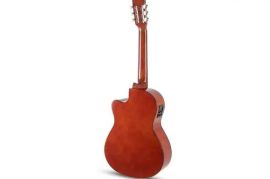 Gewapure E-Acoustic classical Basic ელ.კლასიკური გ