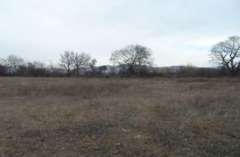 For Sale, Real Estate, Lands