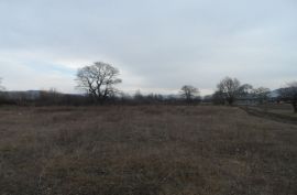 For Sale, Real Estate, Lands