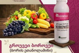  ბორი სასუქი გორუვეი ბოროვეი  BOROWAY #ბორი #bor 