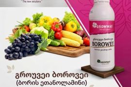  ბორი სასუქი გორუვეი ბოროვეი  BOROWAY #ბორი #bor 