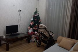 დალაგება