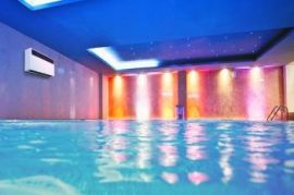 აუზის ნესტგამწოვი DS 60