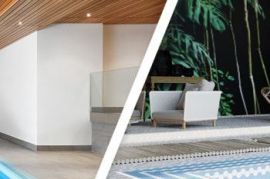 აუზის ნესტგამწოვი DS 60