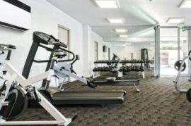 აუზის ნესტგამწოვი DS 60