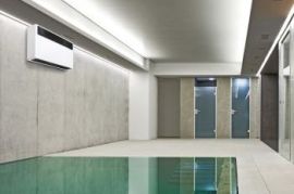 აუზის ნესტგამწოვი DS 60