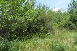 იყიდება, უძრავი ქონება, მიწის ნაკვეთები