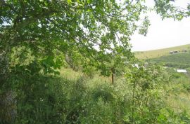 იყიდება, უძრავი ქონება, მიწის ნაკვეთები