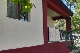 დეკორატიული მიუნხენი