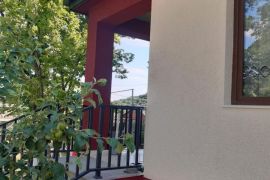 დეკორატიული მიუნხენი