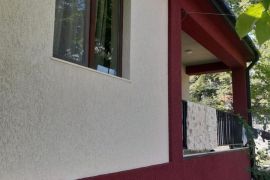 დეკორატიული მიუნხენი