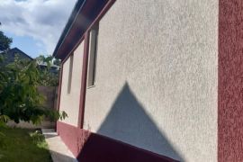 დეკორატიული მიუნხენი