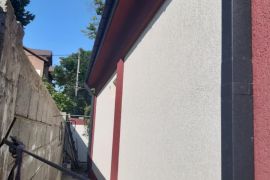 დეკორატიული მიუნხენი