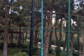 თაბაშირ მუყაოს ამწე