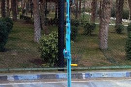 თაბაშირ მუყაოს ამწე