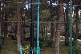 თაბაშირ მუყაოს ამწე