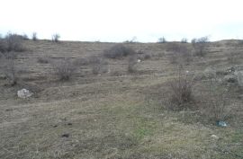 იყიდება, უძრავი ქონება, მიწის ნაკვეთები