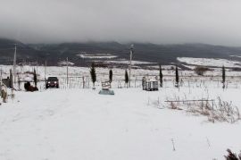 იყიდება, უძრავი ქონება, სახლები/აგარაკები, ზაქარო