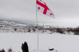 იყიდება, უძრავი ქონება, სახლები/აგარაკები, ზაქარო