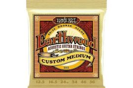 Ernie Ball 2005 Earthwood 80/20 Custom Medium აკუს