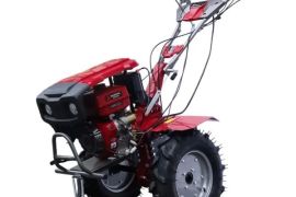 BASEWIN ბენზინზე 9 ც.ხ ძ ელ.სტარტერით და განათებით