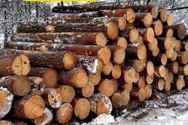 ხის მასალა შეკვეთით