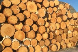 ხის მასალა შეკვეთით