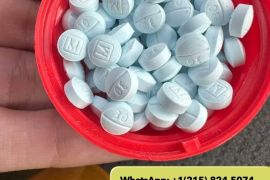 Buy Fentanyl, ketamine, DMT Zangi:(16-3621-4477)